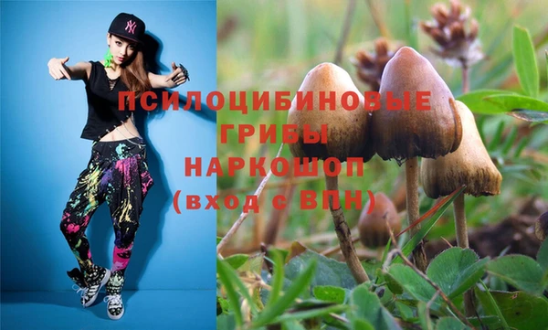 круглые Алзамай