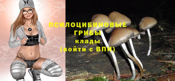 марки nbome Аркадак