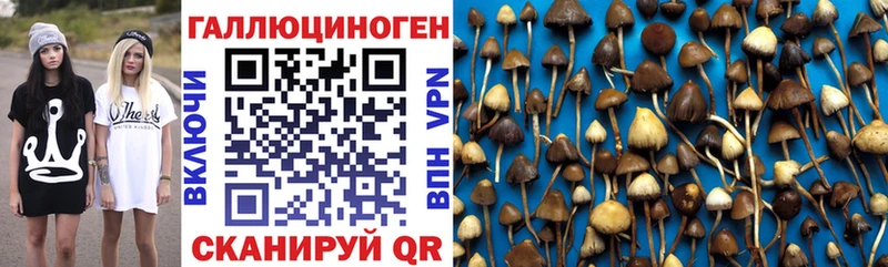 Псилоцибиновые грибы ЛСД  наркошоп  Пучеж 